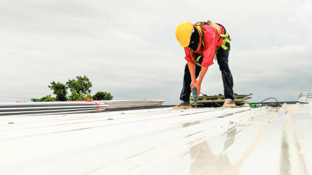 Best Roof Moss and Algae Removal  in Wickliffe, OH